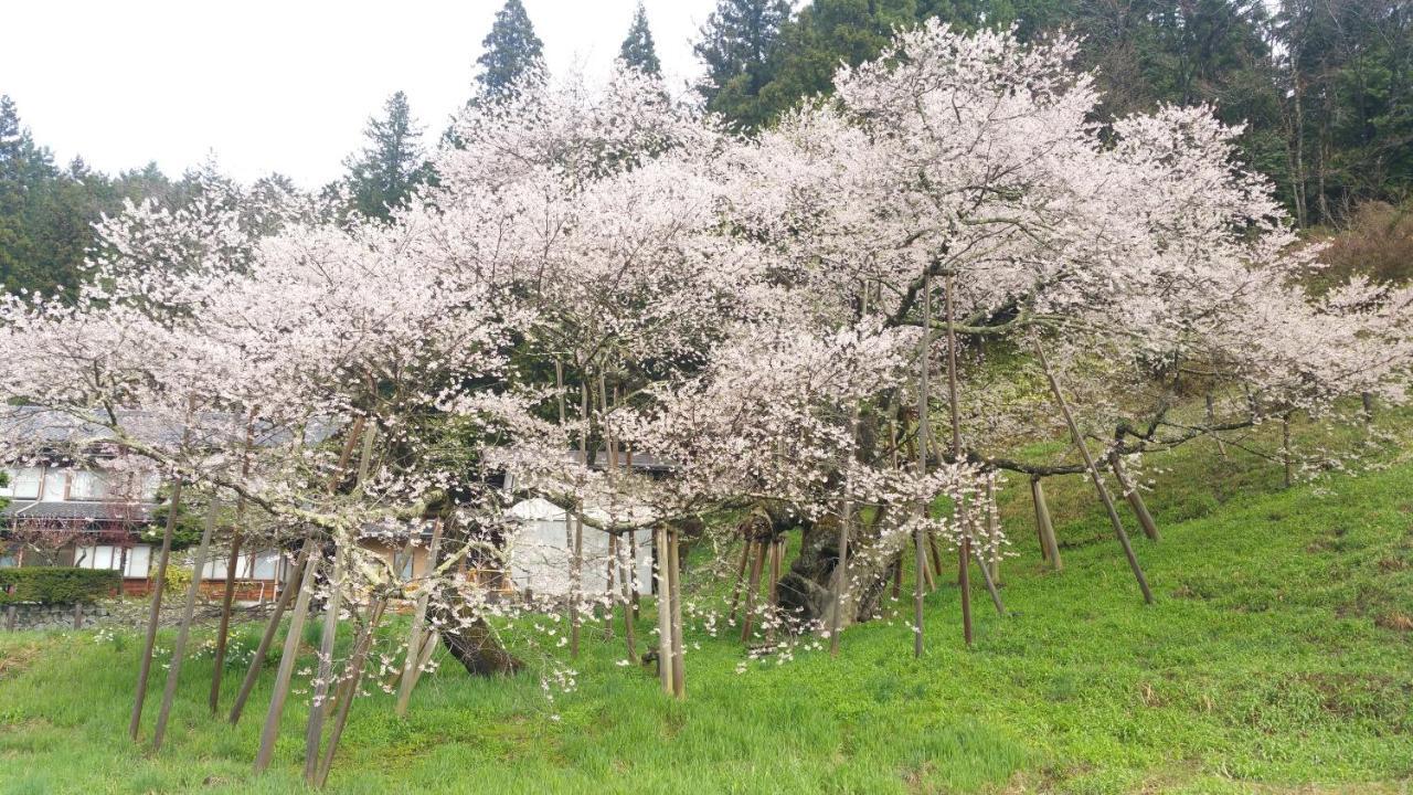Home Sharing Guest House Don Takayama  Dış mekan fotoğraf